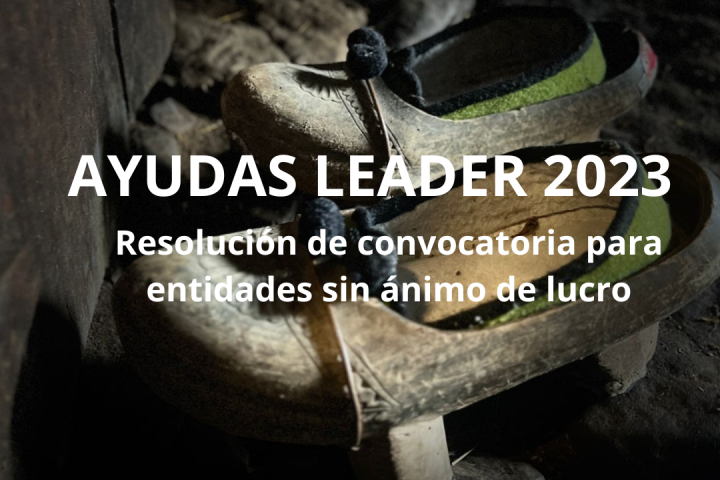 ayudas leader