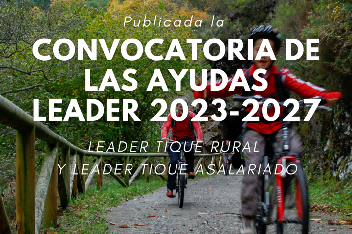 convocatoria de ayudas 