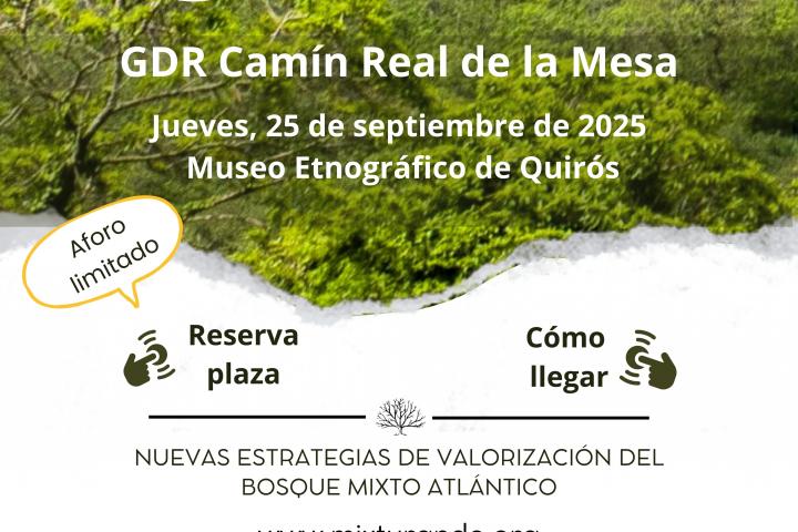 Cartel II Jornadas Mixturando
